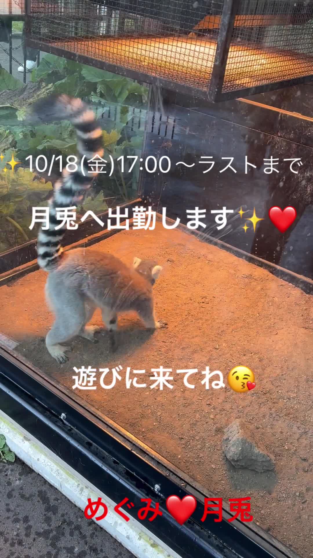 ❤️10/18(金)17:00〜ラストまで出勤します❤️いっぱい癒します